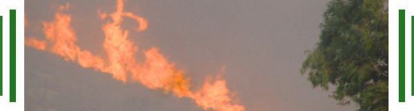 Fire, Ramona, California